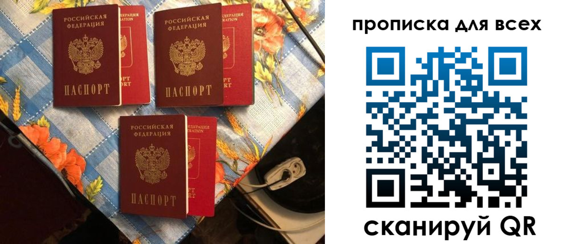 регистрация в Кандалакше